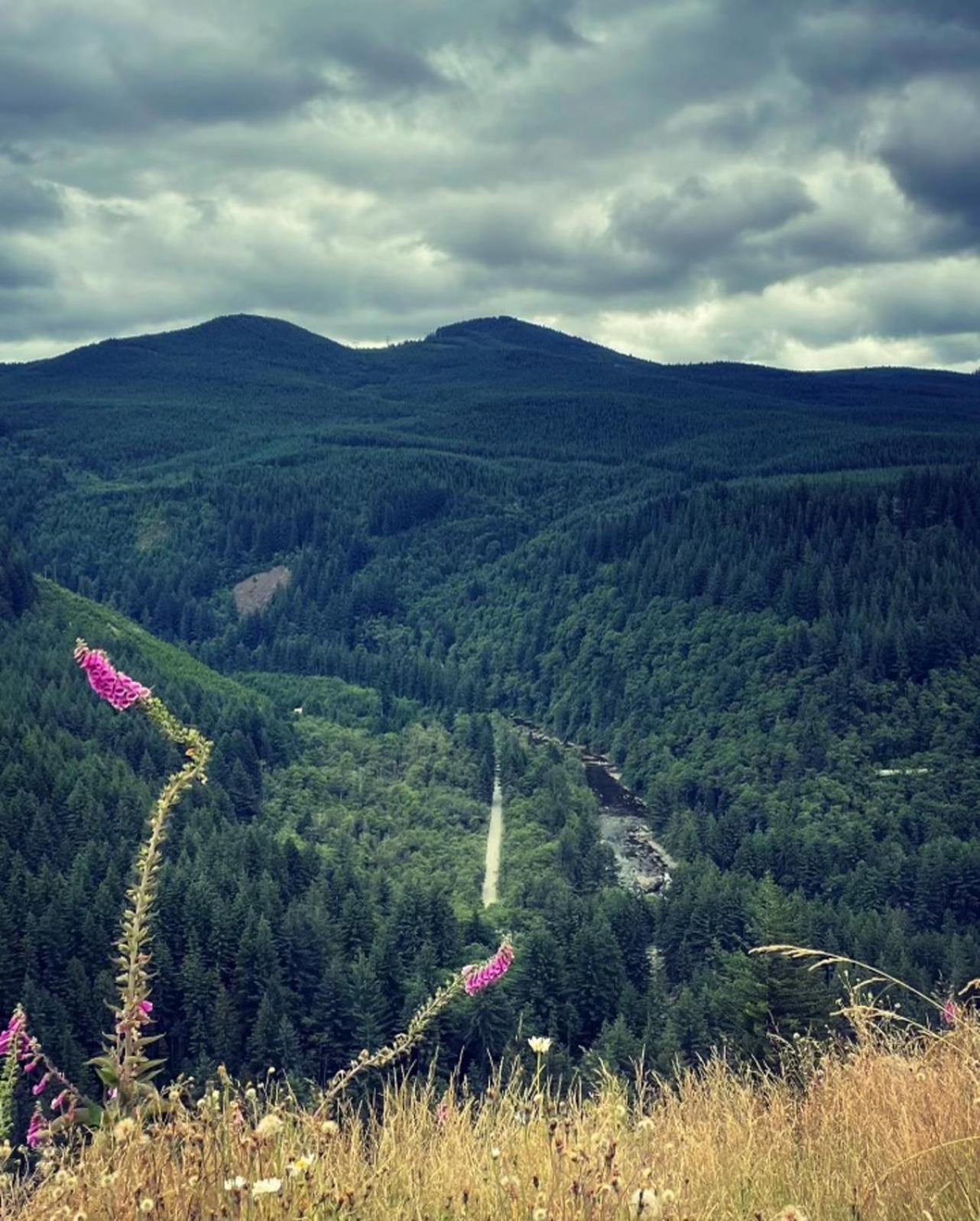 Gorgeous Gateway To The Columbia River Gorge Washougal Zewnętrze zdjęcie